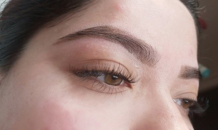 Up to 49% Off on Eyebrow - Waxing - Tinting at The Top Lashes & Beauty