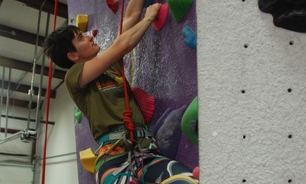 Climbing Classes at Climb Lafayette (Up to 50% Off). Two Options Available.