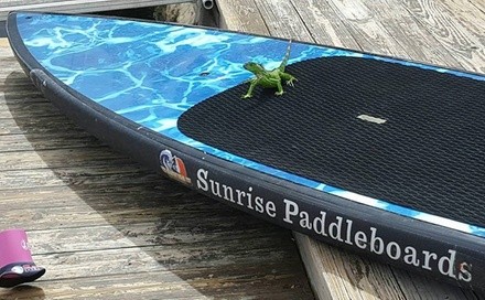 Up to 61% Off on Paddleboarding at Sunrise Paddleboards