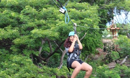  for Two-Hour Zipline Tour for One at Coral Crater Adventure Park ( Value)