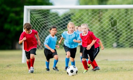 Six-Week Indoor or Outdoor Camp of Choice for One Child at Little Sports (Up to 36% Off)