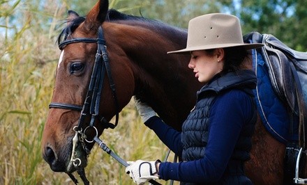 Up to 34% Off on Horse Back Riding - Training at Paws of Love CT
