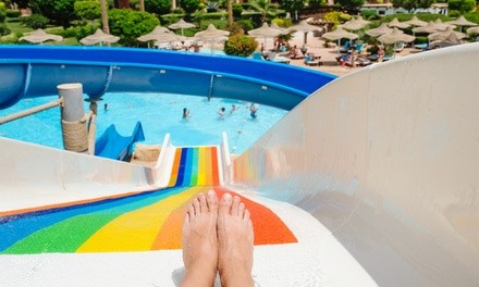 Single-Day Waterpark Admission for One, Two, or Four at Wild Water and Wheels (Up to 25% Off)