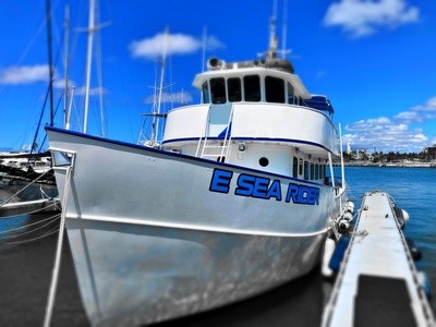 Up to 34% Off on Boat Ride at E Sea Diver