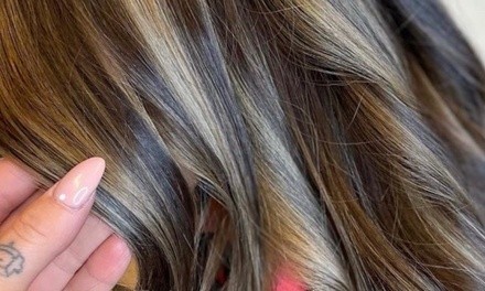 Up to 48% Off on Salon - Women's Haircut at Brigitte at Salon Suites