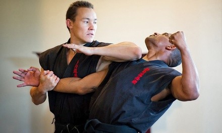 Ninjutsu Self-Defense Classes at The Way Of The Shadow Martial Arts Academy (Up to 80% Off). 