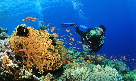 $179 for PADI Open-Water Scuba Certification with Equipment Rental at Aquarius Dive Shop ($649 Value)