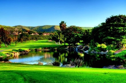 Up to 32% Off on Golf at Roy McQuaig Golf Instruction