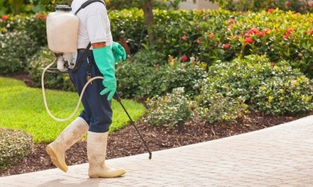 Up to 60% Off on Pest Control Service - Rodent at Green Home Pest Control
