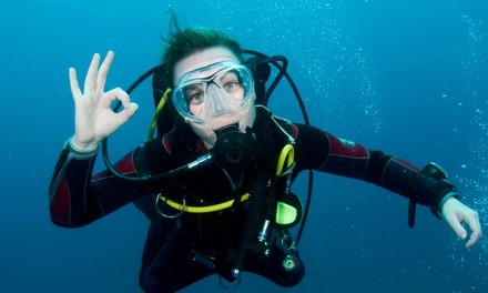 Two-Day or Advanced Scuba-Certification Course from Adventure Diving (62% Off) 