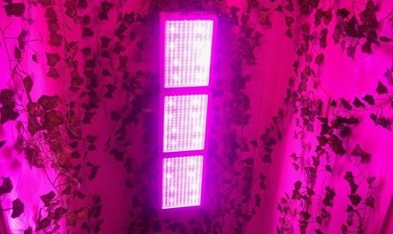 Up to 60% Off on Therapy - Light at Island Wellness