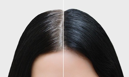 55% OFF - Single Process Color (Root Touch-up) + Armorplex