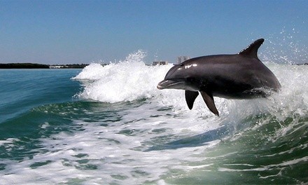 $21 for Dolphin-Watching Sightseeing Trip from Dolphin Racer Speedboat Adventure ($28.36 Value)