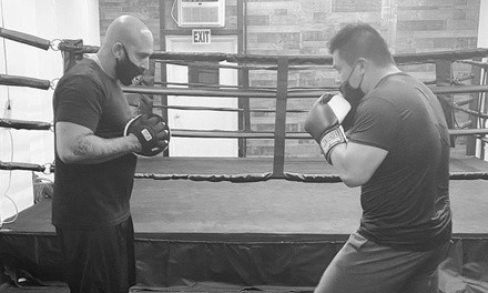 Up to 66% Off on Boxing / Kickboxing at Platinum Boxing Studio