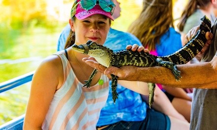 $19.50 for Swamp Tour for One from Cajun Pride Tours ($27 Value)