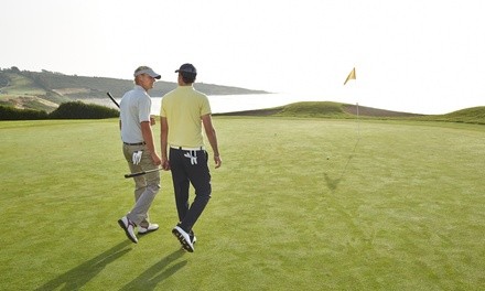 One or Three 60-Minute Private Golf Lessons at Hawkins Golf Academy (Up to 55% Off). Eight Options Available.