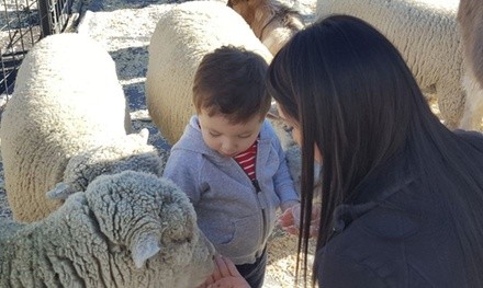 General Admission for Two, Three, or Four to Two By Two Petting Zoo (Up to 20% Off)