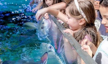Up to 39% Off on Aquarium Visit at SeaQuest Interactive Aquarium Littleton