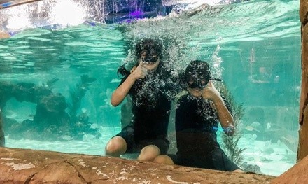 Up to 36% Off on Aquarium Visit at SeaQuest Interactive Aquarium Fort Worth