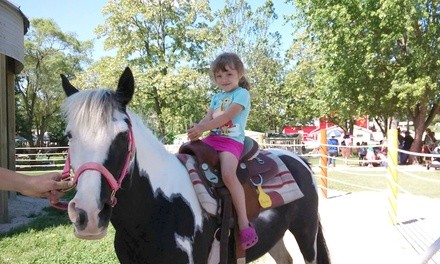 General Admission to Petting Farm for Up to Four People at Green Meadows Petting Farm (Up to 40% Off)