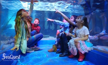 Up to 35% Off on Aquarium Visit at Seaquest Interactive Aquarium - Lynchburg, VA