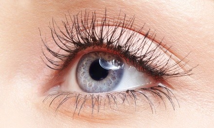 Full Set of Individual Eyelash Extensions with Optional Touch-Up at Embrace Organics Day Spa (Up to 65% Off)