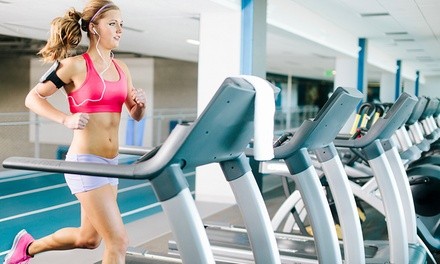 One-Month or Two-Month Gym Membership for One Person at The Zoo Health Club (Up to 81% Off)