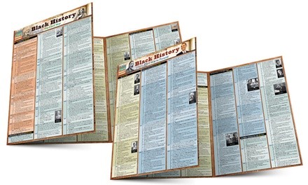 Black History: Pre-Civil War to Present Laminated Reference Guide