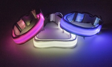 LED Safety Pet Collar