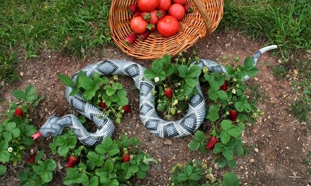 Inflatable Garden Pest Deterrent Snake