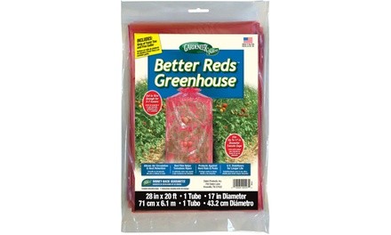 Better Reds Tomato Plant Greenhouse Cover