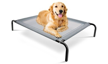 Elevated Steel-Framed Comfort Pet Bed