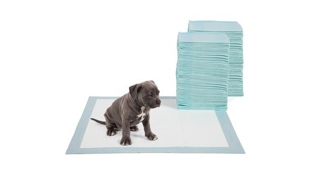 5-Layer Leakproof Puppy Potty Training Pad (30-, 100-, or 150-Pack)