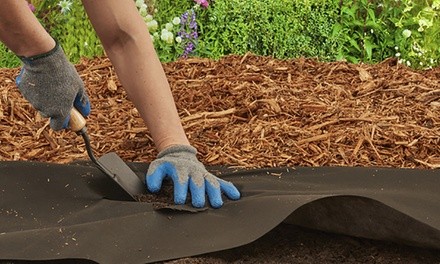 Scotts Weedout 3'x50' Garden Fabric with Garden Staples (1- or 2-Pack)