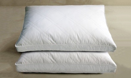 Goose Feather Down Pillow (2-Pack)