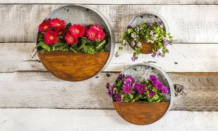 Galvanized Wall Planters (Choice of 8