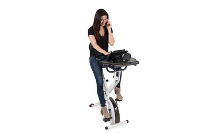 FitDesk FDX 3.0 with Bonus Extension Kit