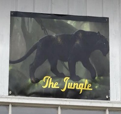 The Jungle